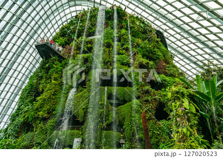 SINGAPORE - April 8 2025: View of Gardens by the Bay and Marina Bay Sands in Singapore 127020523
