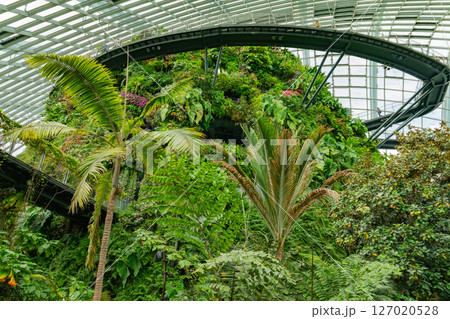 SINGAPORE - April 8 2025: View of Gardens by the Bay and Marina Bay Sands in Singapore 127020528