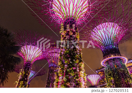 SINGAPORE - April 8 2025: View of Gardens by the Bay and Marina Bay Sands in Singapore SINGAPORE - April 8 2025: View of Gardens by the Bay and Marina Bay Sands in Singapore 127020531