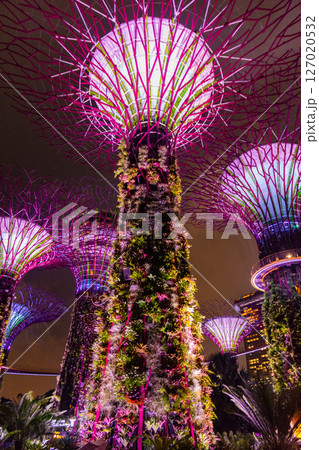 SINGAPORE - April 8 2025: View of Gardens by the Bay and Marina Bay Sands in Singapore SINGAPORE - April 8 2025: View of Gardens by the Bay and Marina Bay Sands in Singapore 127020532