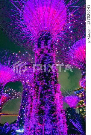 SINGAPORE - April 8 2025: View of Gardens by the Bay and Marina Bay Sands in Singapore 127020545