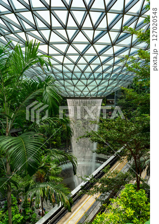 Singapore, 7 April 2025 : Parallax view of indoor Singapore rain vortex dome waterfall in rain forest Jewel Changi Airport Singapore 127020548