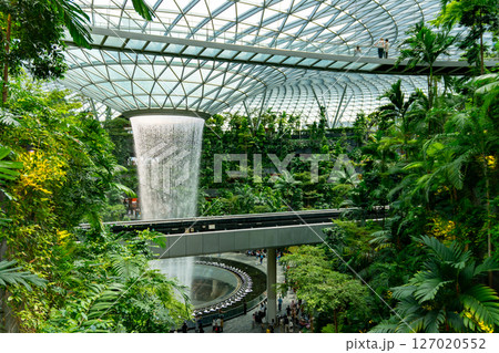 Singapore, 7 April 2025 : Parallax view of indoor Singapore rain vortex dome waterfall in rain forest Jewel Changi Airport Singapore 127020552