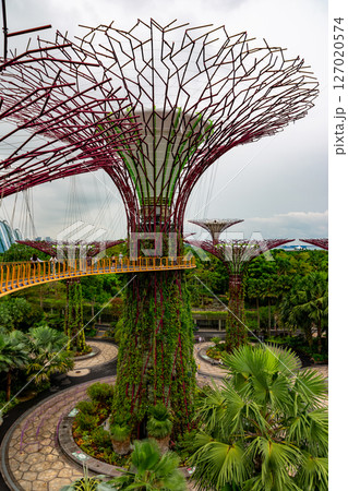 SINGAPORE - April 8 2025: View of Gardens by the Bay and Marina Bay Sands in Singapore SINGAPORE - April 8 2025: View of Gardens by the Bay and Marina Bay Sands in Singapore 127020574