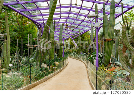 SINGAPORE - April 8 2025: View of Gardens by the Bay and Marina Bay Sands in Singapore SINGAPORE - April 8 2025: View of Gardens by the Bay and Marina Bay Sands in Singapore 127020580