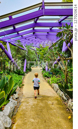 SINGAPORE - April 8 2025: View of Gardens by the Bay and Marina Bay Sands in Singapore SINGAPORE - April 8 2025: View of Gardens by the Bay and Marina Bay Sands in Singapore 127020614