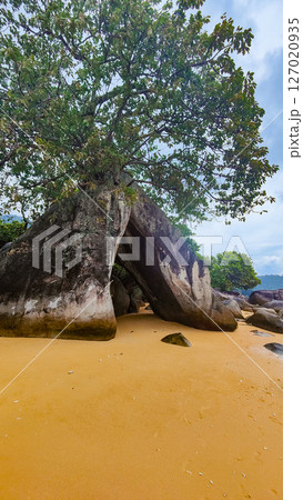 Pulau Tioman tropical island in Malaysia. South China sea. Southeast Asia Pulau Tioman tropical island in Malaysia. South China sea. Southeast Asia 127020935