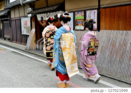 京都 花街初寄り 京都 花街初寄り 127021099