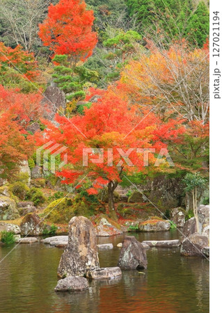 秋の溪石園(耶馬溪・中津市・縦構図) 秋の溪石園(耶馬溪・中津市・縦構図) 127021194