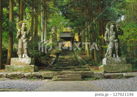 両子寺参道(仁王像・国東市) 両子寺参道(仁王像・国東市) 127021198
