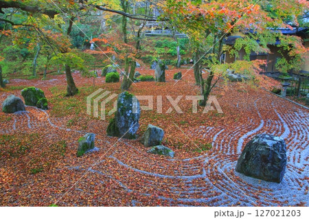 秋の庭園（光明禅寺・太宰府市） 127021203