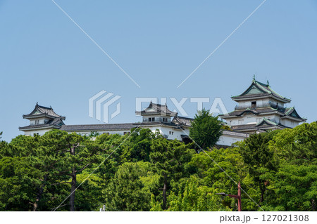 快晴、青空に映える和歌山城天守閣の雄大な姿。 快晴、青空に映える和歌山城天守閣の雄大な姿。 127021308