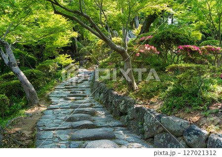 夏の和歌山城、緑豊かな紅葉渓庭園（西の丸庭園）。 127021312