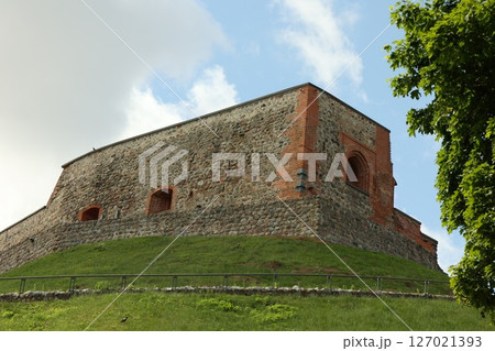 ゲディミナス城の塔 127021393