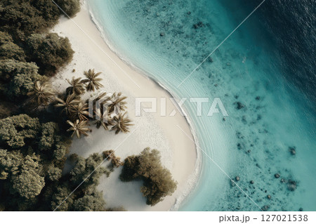 Tropical island beach retreat crystal clear waters aerial view serenity and nature 127021538