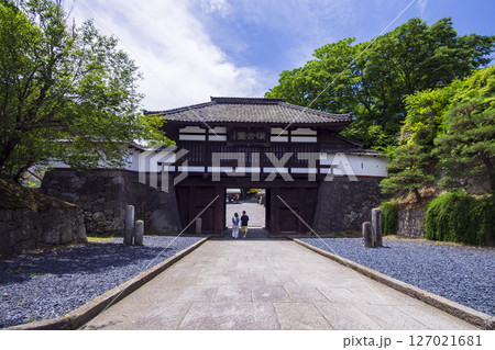 新緑に包まれた懐古園こと小諸城址 新緑に包まれた懐古園こと小諸城址 127021681