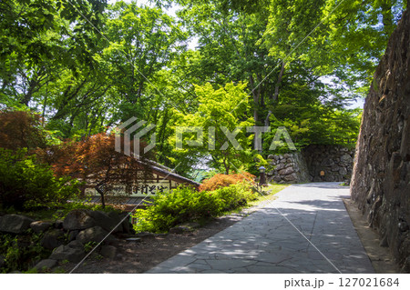 新緑に包まれた懐古園こと小諸城址 127021684