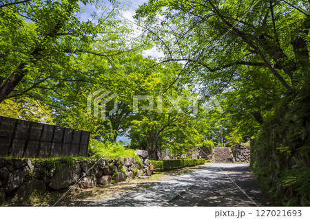 新緑に包まれた懐古園こと小諸城址 127021693