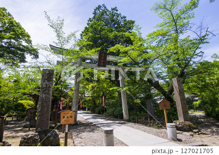 新緑に包まれた懐古園こと小諸城址 127021705