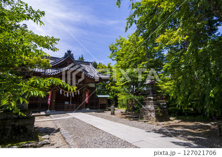 新緑に包まれた懐古園こと小諸城址 127021706