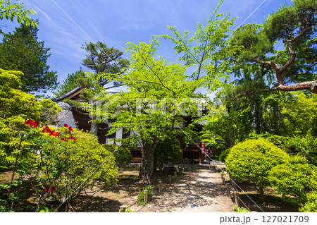 新緑に包まれた懐古園こと小諸城址 127021709