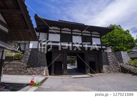 新緑に包まれた懐古園こと小諸城址 新緑に包まれた懐古園こと小諸城址 127021886
