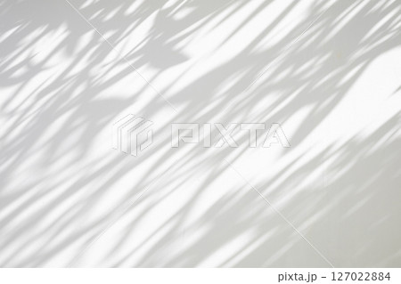 Abstract natural tree leaves shadow on white wall background Abstract natural tree leaves shadow on white wall background 127022884