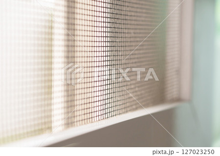 mosquito net wire screen on house window protection against insect 127023250