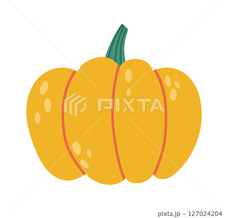 Simple vector illustration of a ripe pumpkin squash with green stem, representing the autumn harvest season and the spirit of Halloween and Thanksgiving celebrations 127024204