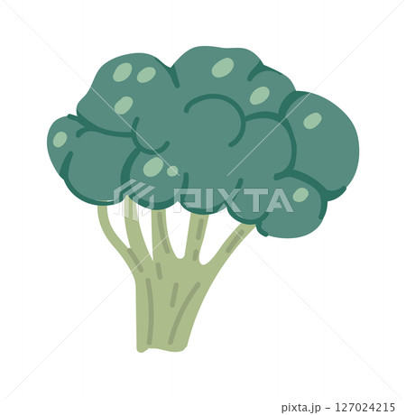Cartoon broccoli with textured florets and thick stem, embodying healthy eating and nutritious green vegetables, perfect for promoting healthy lifestyles Cartoon broccoli with textured florets and thick stem, embodying healthy eating and nutritious green vegetables, perfect for promoting healthy lifestyles 127024215