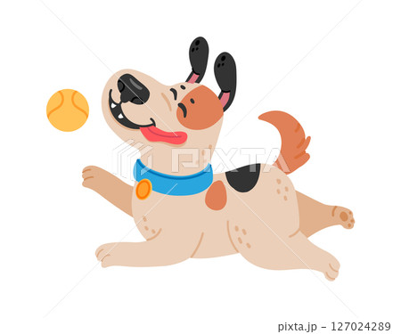 Playful dog running and catching a ball, enjoying a fun activity, happy pet with tongue out and ears flapping, isolated on white background 127024289