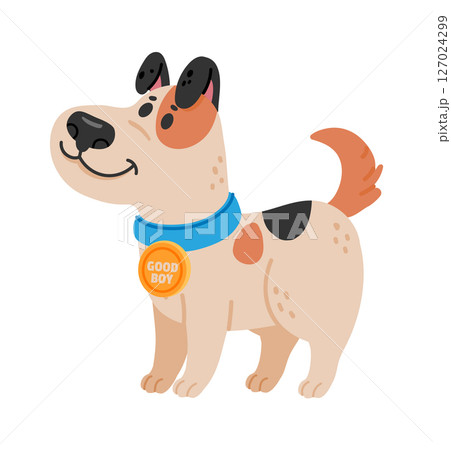 Happy spotted puppy wearing a blue collar and proudly displaying a good boy medal, standing and smiling with a playful, obedient spirit that radiates joy and affection 127024299