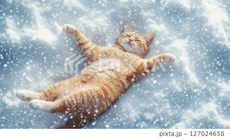 Ginger cat lying in snowy landscape, winter relaxation concept Ginger cat lying in snowy landscape, winter relaxation concept 127024658
