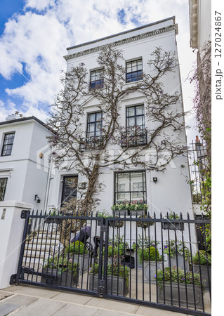 Elegant White London Townhouse with Wrought Iron Gate and Leafless Climbing Tree Elegant White London Townhouse with Wrought Iron Gate and Leafless Climbing Tree 127024867