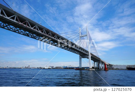 青空と橋（ベイブリッジ） 127025070