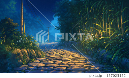 深夜の石畳の道の風景、アニメ風 127025132