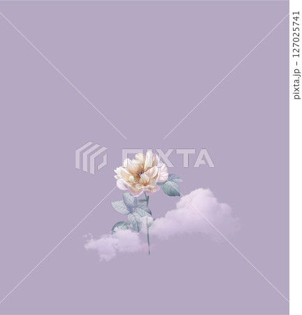 Delicate Floral Pattern Collection for Creative Crafts Delicate Floral Pattern Collection for Creative Crafts 127025741