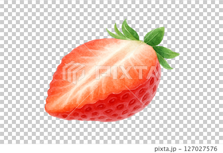 いちご 水彩 イラスト 白バック 127027576
