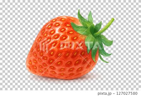 いちご 水彩 イラスト 白バック いちご 水彩 イラスト 白バック 127027580
