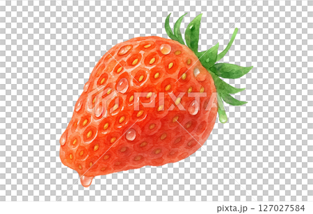 Strawberry watercolor illustration white background Strawberry watercolor illustration white background 127027584