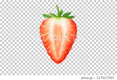 草莓水彩插圖白色背景 127027585