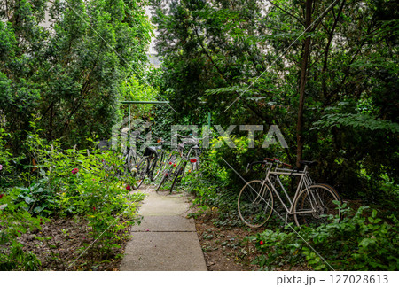 Bicycles parked along garden pathway with lush green foliage and trees 127028613