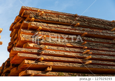 Sturdy logs are stacked neatly in a timber yard, drying under the warm glow of afternoon light, showcasing their natural textures Sturdy logs are stacked neatly in a timber yard, drying under the warm glow of afternoon light, showcasing their natural textures 127029293