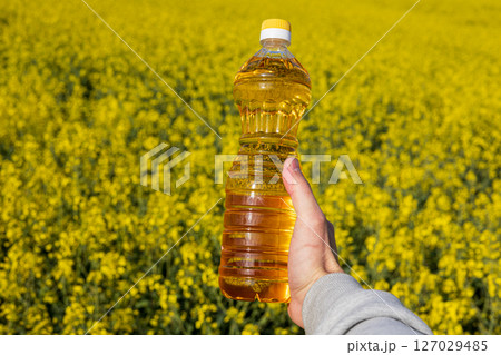 A vibrant rapeseed field displays bright yellow flowers while a hand holds a bottle of canola oil, showcasing nature's bounty A vibrant rapeseed field displays bright yellow flowers while a hand holds a bottle of canola oil, showcasing nature's bounty 127029485