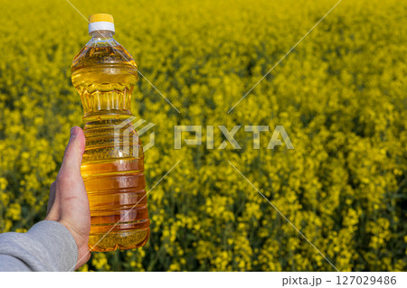Bright yellow rapeseed flowers stretch across the field as a person holds a bottle of canola oil, showcasing the source of this natural product Bright yellow rapeseed flowers stretch across the field as a person holds a bottle of canola oil, showcasing the source of this natural product 127029486
