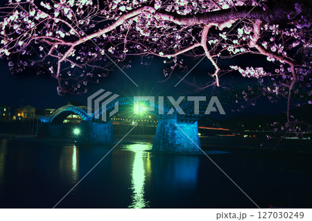 錦帯橋の桜8712 127030249