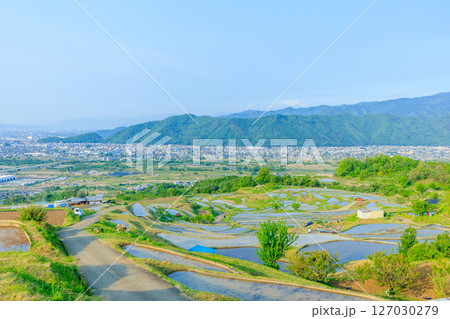 初夏の姨捨の棚田 長野県千曲市 初夏の姨捨の棚田 長野県千曲市 127030279