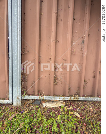 Foliage stuck in a spiderweb on an old fence Foliage stuck in a spiderweb on an old fence 127030294