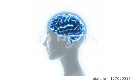人間の脳と人体のX線3Dイラスト 人間の脳と人体のX線3Dイラスト 127030557