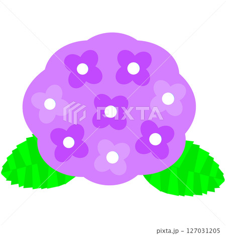 梅雨や初夏を彩る紫陽花の花のかわいらしいイラスト素材 127031205